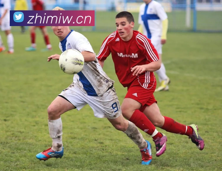 开云手机网页登录网页APP 封面图